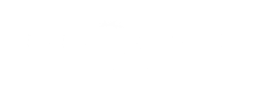 Mohoku Labs